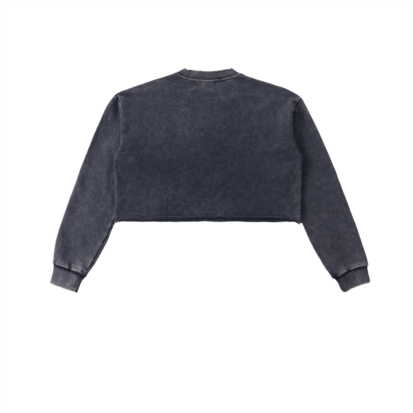 Psalm 91 Snow Washed Raw Edge Cropped Sweatshirt