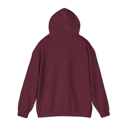 "Girl Got Goals" Unisex Hoodie