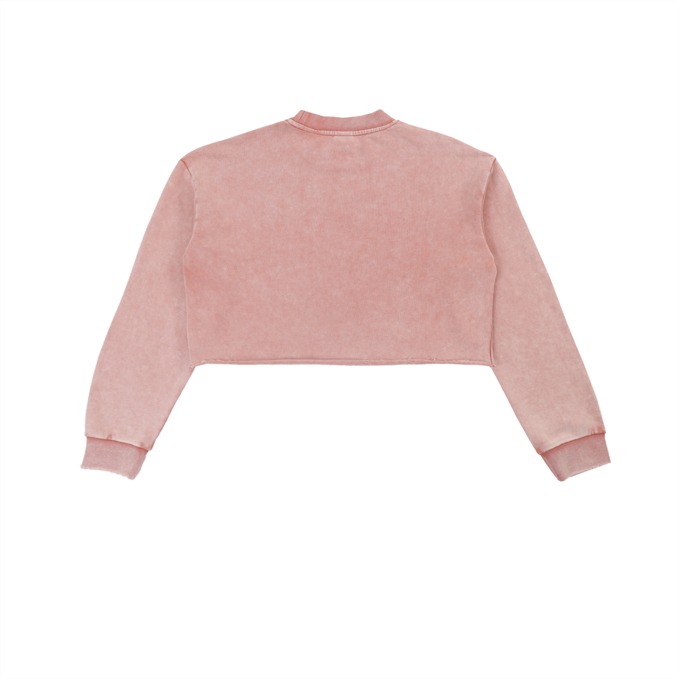 Psalm 91 Snow Washed Raw Edge Cropped Sweatshirt